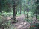 DSC06554.JPG