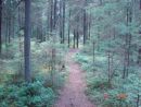 DSC06555.JPG