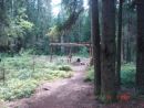 DSC05970.JPG