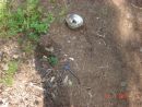 DSC05982.JPG